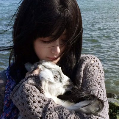疯猴